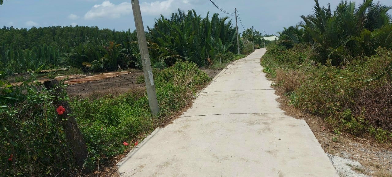 Bán đất xã An Thới Đông mặt đường mặt sông