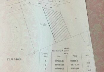 Bán đất Doi Mỹ Khánh xã Bình Khánh Cần Giờ