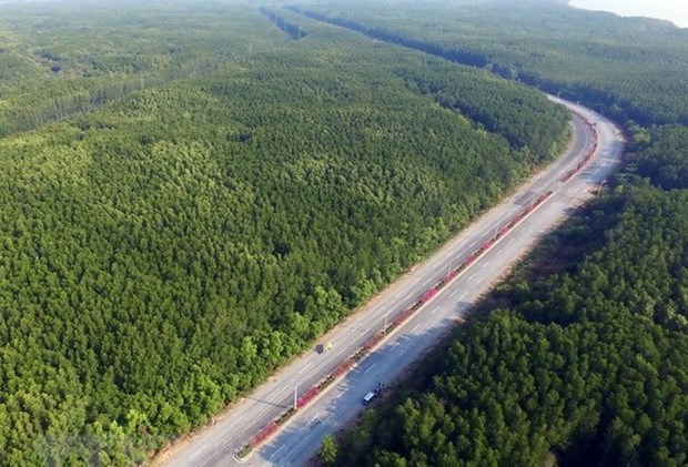 Đường-Rừng-Sác-Cần-Giờ