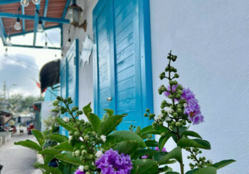 Bán nhà xinh hẻm nhỏ – Giá rẻ