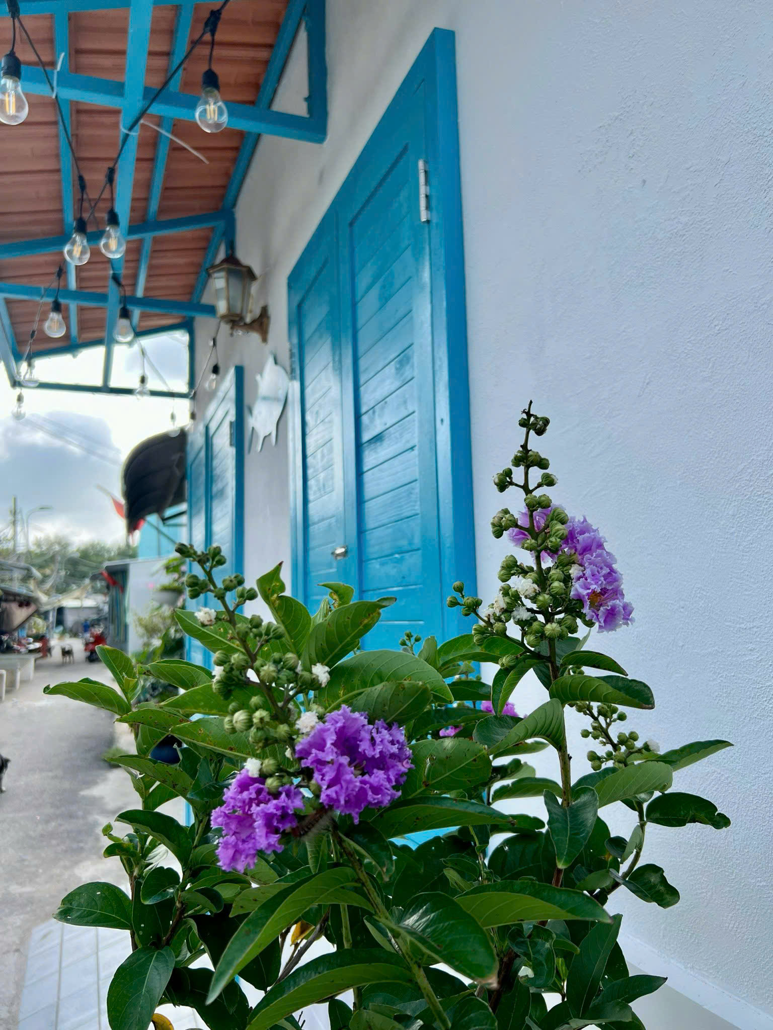 Bán nhà xinh hẻm nhỏ – Giá rẻ